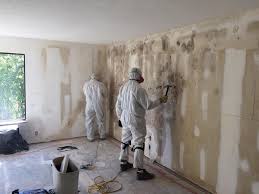 Best Emergency Mold Remediation  in Shrub Oak, NY